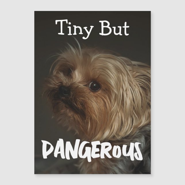 Söt Anpassningsbar Personlig Terrier Hundmamma Hus (Framsida)