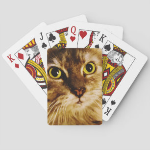 SÖT ANSIKTEKATTUNGE som leker kort Casinokort
