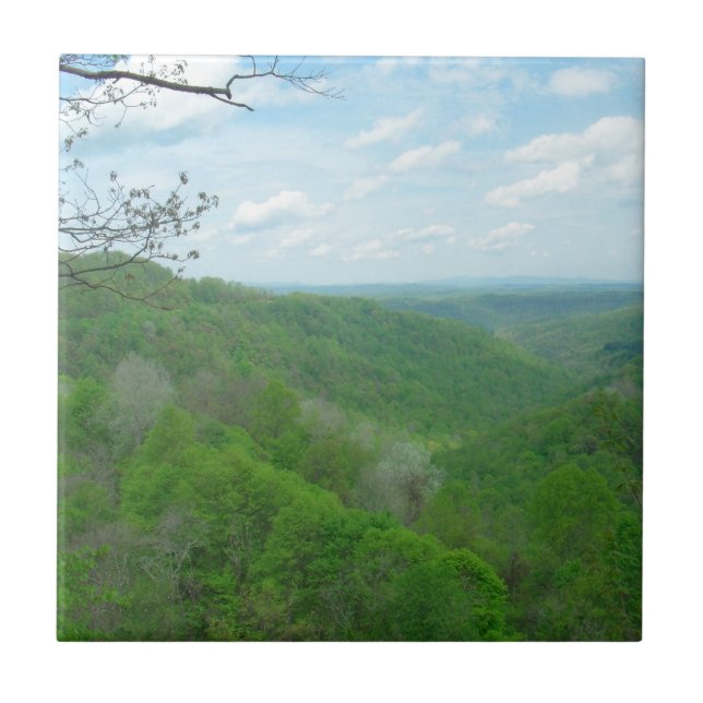 Söt Appalachian Overlook Kakelplatta (Framsidan)