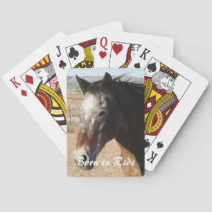 Söt Appaloosa Horse - Western Casinokort