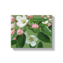 Söt Äppelblommar blommigt grönt Hygge-roligt