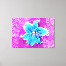 Söt Aqua Blue Stargazer Lily på Lila Canvastryck