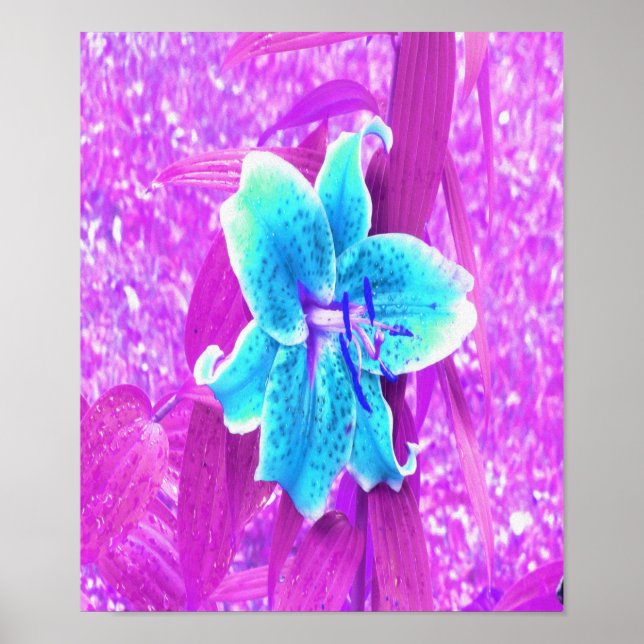 Söt Aqua Blue Stargazer Lily på Lila Poster (Framsidan)