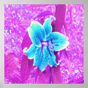 Söt Aqua Blue Stargazer Lily på Lila Poster