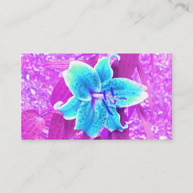 Söt Aqua Blue Stargazer Lily på Lila Visitkort (Framsida)
