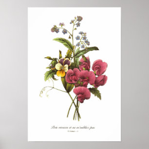 Söt ärta och Viola Poster