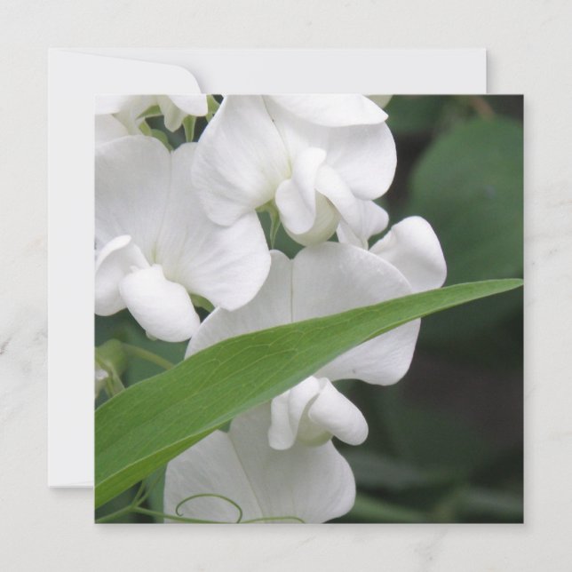 Söt ärtablommainbjudan inbjudningar (Framsida)