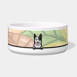 Söt Aussie Cattle dog, mat eller dryck