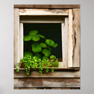 Söt av anläggningar i Rustic Window med Weasted Wo Poster