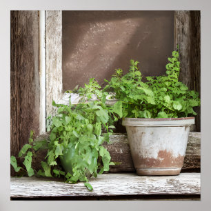 Söt av anläggningar i Rustic Window Poster