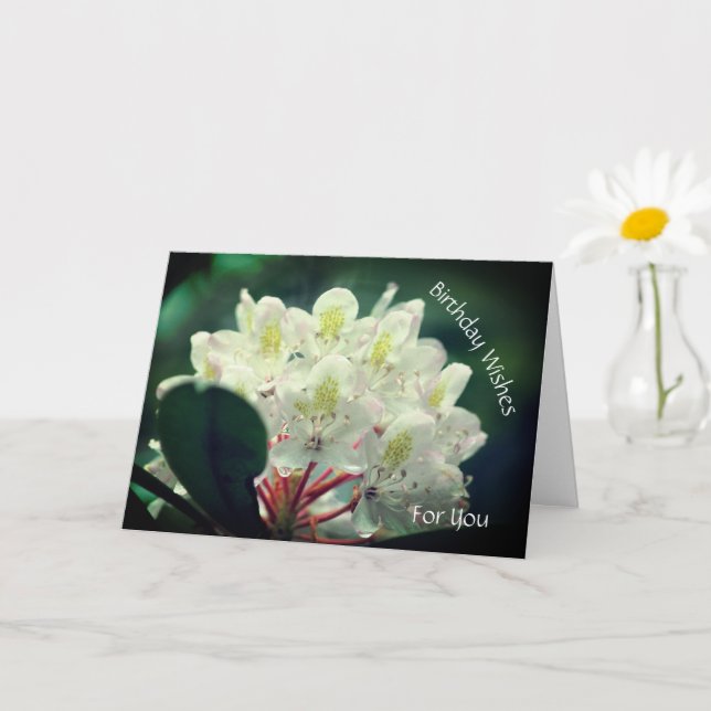 Söt Azalea Flower Personlig Birthday Kort (Liten växt)