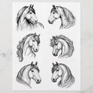 Söt B&W Horse Line Art Teckning