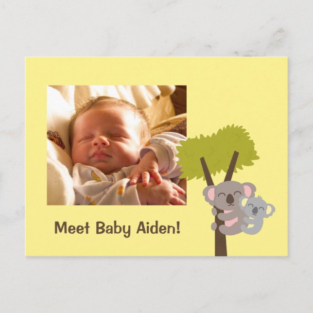 Söt baby koalabjörn och mammabilder vykort (Framsida)