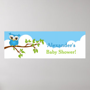 Söt Baby Uggla Boy Baby Shower Banner Poster