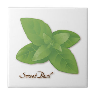 Söt Basil Herb Tile Kakelplatta