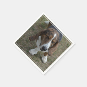 Söt Bassethund Pappersservett