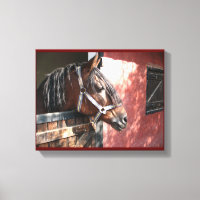 Söt Bay Horse i en solupplyst anläggning