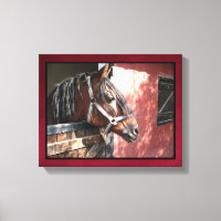 Söt Bay Horse i en solupplyst anläggning