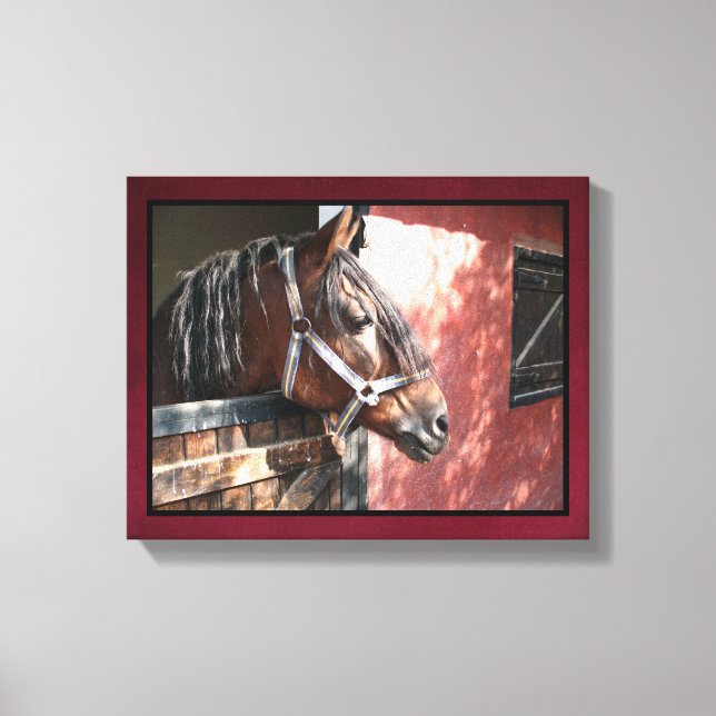 Söt Bay Horse i en solupplyst anläggning Canvastryck (Framsida)