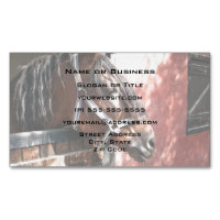 Söt Bay Horse i en solupplyst anläggning