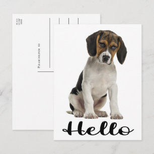 Söt Beagle Hej Rolig Valp Tänker På Dig  Vykort