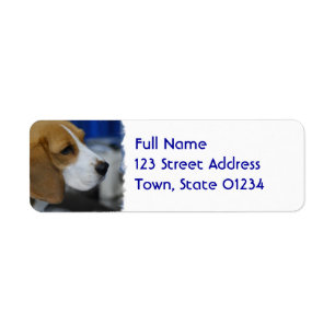 Söt Beagle Returadress Etikett