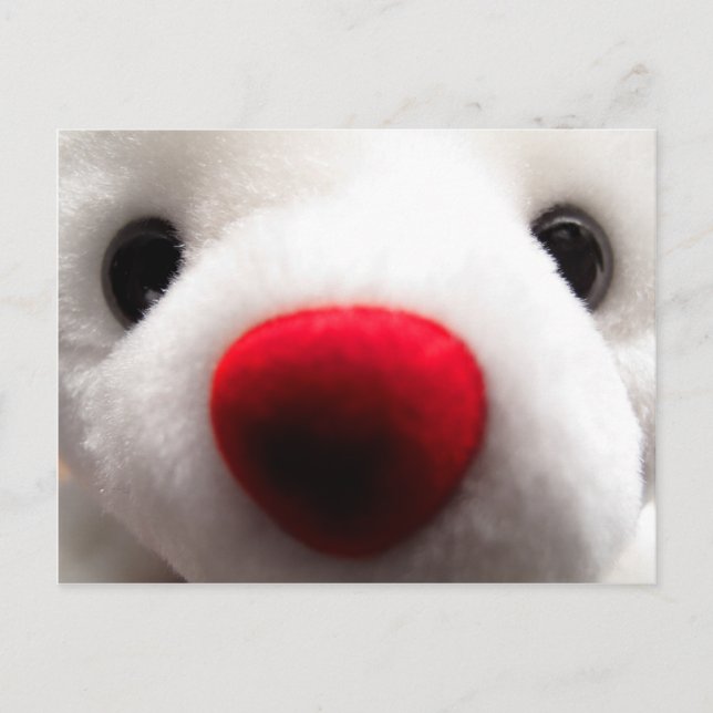 Söt Bear-vykort Vykort (Framsida)