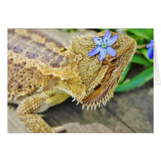 Söt Bearded Dragon Hälsningskort