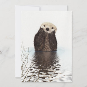 Söt Behaglig Fluffig Utter Djur Kort