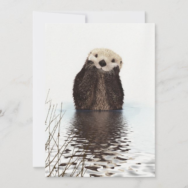 Söt Behaglig Fluffig Utter Djur Kort (Framsida)