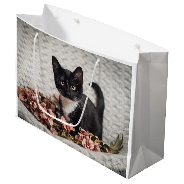 Söt Bella Ro (Framsidan Vinklad)