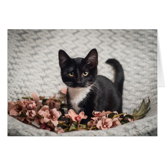 Söt Bella Ro OBS Kort (Framsidan Horizontal)