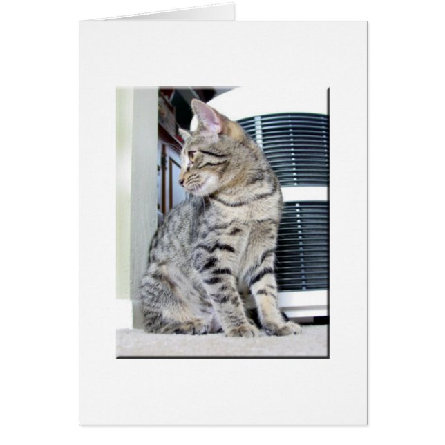 Söt Bengal Baby Hälsningskort (Framsidan)