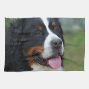 Söt Bernese kökshandduk