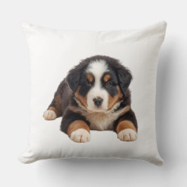 Söt Bernese Mountain Hund Kudde