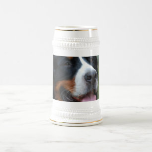 Söt Bernese öl Stein Sejdel
