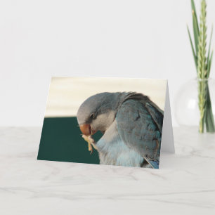 Söt Bird Kort