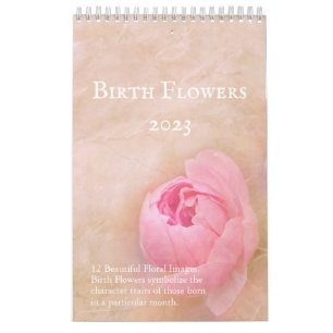 Söt Birth Flowers 12 månader Kalender