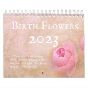Söt Birth Flowers 12 månader Kalender