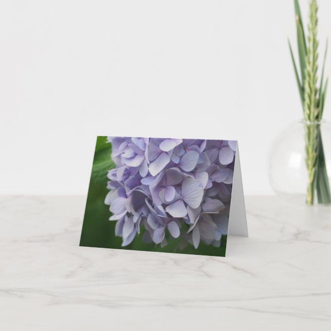 Söt blå hortensia blomfotografering notering kort (Framsida)