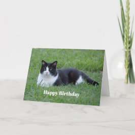 Söt Black and White Tuxedo Cat Photo Birthday Kort