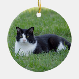 Söt Black and White Tuxedo Cat Photo Julgransprydnad Keramik