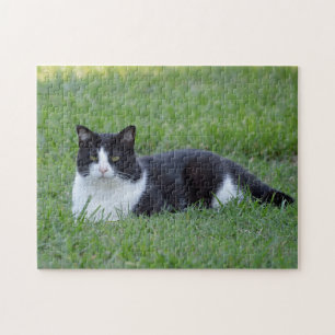 Söt Black and White Tuxedo Cat Photo Pussel