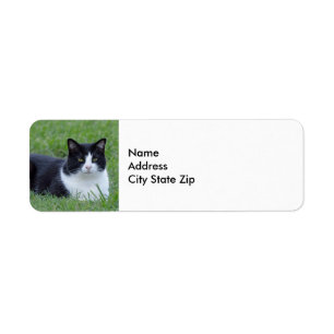 Söt Black and White Tuxedo Cat Photo Returadress Etikett
