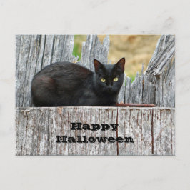 Söt Black Cat Log Photo Halloween Vykort