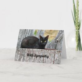 Söt Black Cat Log Photo Sympathy Kort