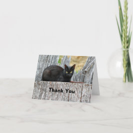 Söt Black Cat Log Photo Tack Kort
