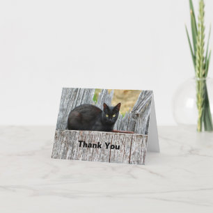 Söt Black Cat Log Photo Tack Kort