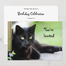 Söt Black Cat Photo Birthday Inbjudningar
