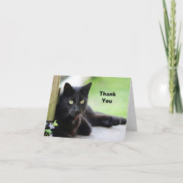 Söt Black Cat Photo Tack Kort